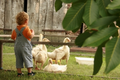 Tiere zum anschauen waren eine große Attraktion für die Kinder!